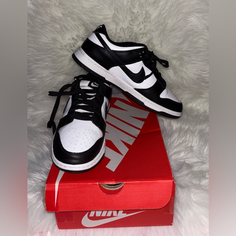 Nike Dunk Low Retro- Men’s